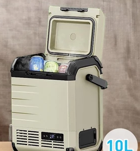 行動冰箱 10L 露營 車宿冰箱